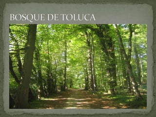 LO SUBLIME EN LA NATURALEZA 