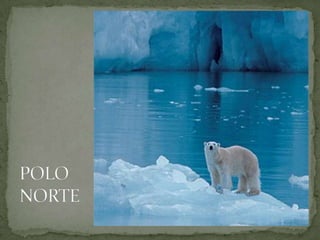 LO SUBLIME EN LA NATURALEZA 