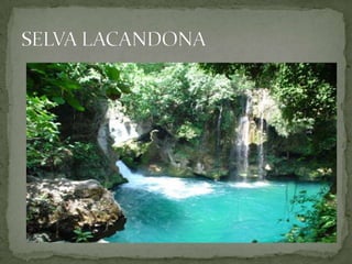 LO SUBLIME EN LA NATURALEZA 