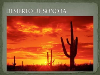 LO SUBLIME EN LA NATURALEZA 