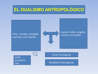 EL DUALISMO ANTROPOLÓGICO
Alma: Invisible, intangible,
espiritual, incorruptible.
Cuerpo: Visible, tangible,
material, corruptible
Unión Contingente
Unión
semejanza
Dios Realidades heterogéneas
 