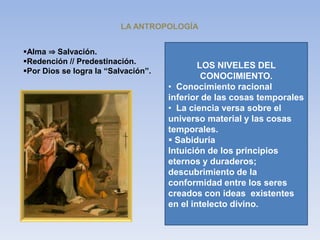 Alma ⇒ Salvación.
Redención // Predestinación.
Por Dios se logra la “Salvación”.
LA ANTROPOLOGÍA
LOS NIVELES DEL
CONOCIMIENTO.
• Conocimiento racional
inferior de las cosas temporales
• La ciencia versa sobre el
universo material y las cosas
temporales.
 Sabiduría
Intuición de los principios
eternos y duraderos;
descubrimiento de la
conformidad entre los seres
creados con ideas existentes
en el intelecto divino.
 