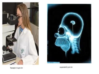 fepagro.rs.gov.br superabril.com.br 
 