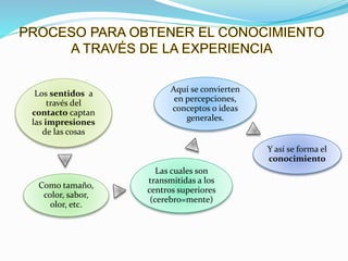 Los sentidos a 
través del 
contacto captan 
las impresiones 
de las cosas 
Como tamaño, 
color, sabor, 
olor, etc. 
Aquí se convierten 
en percepciones, 
conceptos o ideas 
generales. 
Las cuales son 
transmitidas a los 
centros superiores 
(cerebro=mente) 
Y así se forma el 
conocimiento 
 