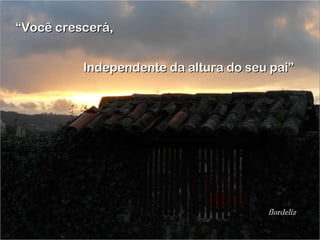 “ Você crescerá, Independente da altura do seu pai” flordeliz. flordeliz 