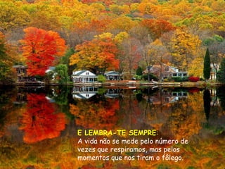 E LEMBRA-TE SEMPRE:
A vida não se mede pelo número de
vezes que respiramos, mas pelos
momentos que nos tiram o fôlego.
 