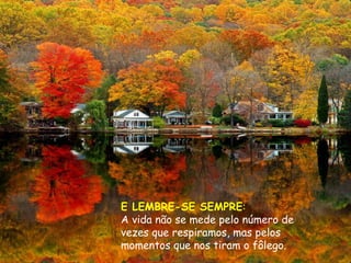 E LEMBRE-SE SEMPRE:
A vida não se mede pelo número de
vezes que respiramos, mas pelos
momentos que nos tiram o fôlego.
 