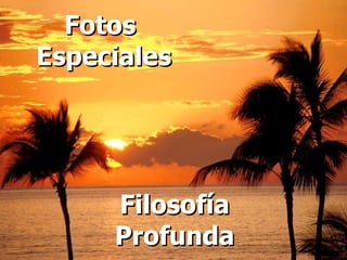Filosofía Profunda Fotos Especiales