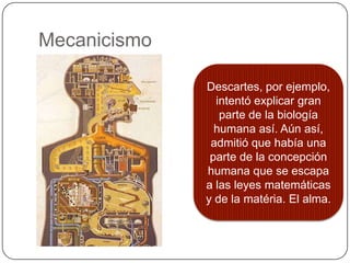 Mecanicismo

              Descartes, por ejemplo,
                intentó explicar gran
                 parte de la biología
                humana así. Aún así,
               admitió que había una
               parte de la concepción
              humana que se escapa
              a las leyes matemáticas
              y de la matéria. El alma.
 