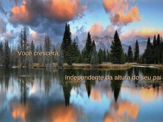Você crescerá, Independente da altura do seu pai 