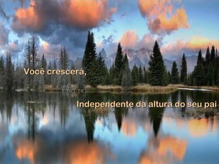 Você crescerá,Você crescerá,
Independente da altura do seu paiIndependente da altura do seu pai
 