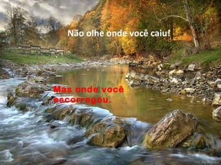 Não olhe onde você caiu!
Mas onde você
escorregou.
 
