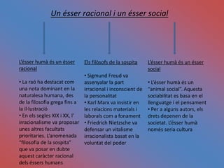  Filosofia sistemàtica: Teoria basada que pretén una validesa universalTeories autobiogràfiques sobre l’ésser humà Teories religioses: Basades en creences
