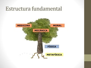 Estructura fundamental
 