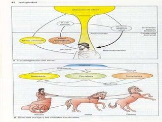 FILOSOFÍA Y MITO Los mitos  no carecen de realidad , simplemente responden a una  lógica diferente  a la filosofía y a la ciencia. Pues se trata de principios y supuestos diferentes a ellas. La verdad o validez de sus expresiones,  debe analizarse dentro de su propio contexto y lenguaje . Existe gente preparada y con estudios profesionales que cree en algunos mitos.  