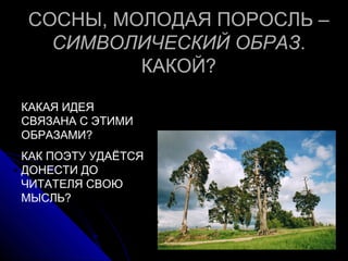 СОСНЫ, МОЛОДАЯ ПОРОСЛЬ –
  СИМВОЛИЧЕСКИЙ ОБРАЗ.
         КАКОЙ?
КАКАЯ ИДЕЯ
СВЯЗАНА С ЭТИМИ
ОБРАЗАМИ?
КАК ПОЭТУ УДАЁТСЯ
ДОНЕСТИ ДО
ЧИТАТЕЛЯ СВОЮ
МЫСЛЬ?
 