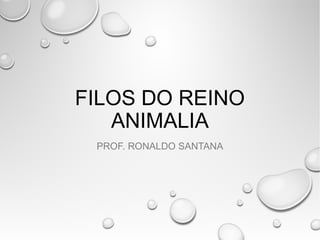 FILOS DO REINO
ANIMALIA
PROF. RONALDO SANTANA
 