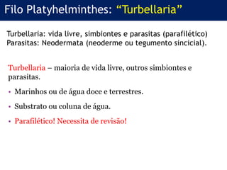Turbellaria – maioria de vida livre, outros simbiontes e
parasitas.
• Marinhos ou de água doce e terrestres.
• Substrato ou coluna de água.
• Parafilético! Necessita de revisão!
Filo Platyhelminthes: “Turbellaria”
Turbellaria: vida livre, simbiontes e parasitas (parafilético)
Parasitas: Neodermata (neoderme ou tegumento sincicial).
 