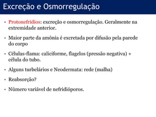 • Protonefrídios: excreção e osmorregulação. Geralmente na
extremidade anterior.
• Maior parte da amônia é excretada por difusão pela parede
do corpo
• Células-flama: caliciforme, flagelos (pressão negativa) +
célula do tubo.
• Alguns turbelários e Neodermata: rede (malha)
• Reabsorção?
• Número variável de nefridióporos.
Excreção e Osmorregulação
 
