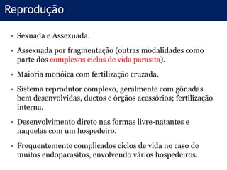 • Sexuada e Assexuada.
• Assexuada por fragmentação (outras modalidades como
parte dos complexos ciclos de vida parasita).
• Maioria monóica com fertilização cruzada.
• Sistema reprodutor complexo, geralmente com gônadas
bem desenvolvidas, ductos e órgãos acessórios; fertilização
interna.
• Desenvolvimento direto nas formas livre-natantes e
naquelas com um hospedeiro.
• Frequentemente complicados ciclos de vida no caso de
muitos endoparasitos, envolvendo vários hospedeiros.
Reprodução
 