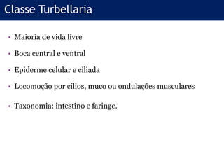 • Maioria de vida livre
• Boca central e ventral
• Epiderme celular e ciliada
• Locomoção por cílios, muco ou ondulações musculares
• Taxonomia: intestino e faringe.
Classe Turbellaria
 