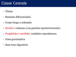 • Tênias
• Bastante diferenciados
• Corpo longo e achatado.
• Escólex: ventosas e/ou ganchos (posteriormente)
• Proglótides/ estróbilo: unidades reprodutoras
• Zona germinativa
• Sem trato digestório
Classe Cestoda
 