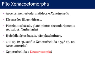 Filo Xenacoelomorpha
• Acoelos, nemertodermatídeos e Xenoturbella
• Discussões filogenéticas...
• Platelmitos basais, platelmintos secundariamente
reduzidos, Turbellaria?
• Hoje bilatérios basais, não platelmintos.
• 400 sp. (2 sp. subfilo Xenoturbellida e 398 sp. no
Acoelomorpha).
• Xenoturbellida x Deuterostomia?
 