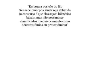 “Embora a posição do filo
Xenacoelomorpha ainda seja debatida
(o consenso é que eles sejam bilatérios
basais, mas não possam ser
classificados inequivocamente como
deuterostômios ou protostômios)”
 