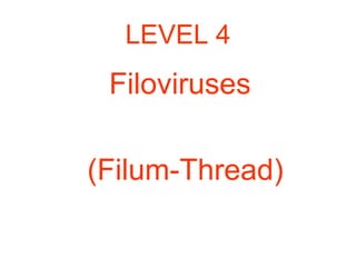 LEVEL 4
Filoviruses
(Filum-Thread)
 