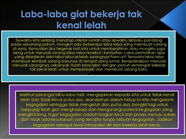 Filsafat laba laba Filsafat laba laba