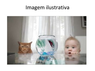 Imagem ilustrativa 