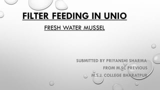 FILTER FEEDING IN UNIO
FRESH WATER MUSSEL
SUBMITTED BY PRIYANSHI SHARMA
FROM M.SC PREVIOUS
M.S.J. COLLEGE BHARATPUR
 