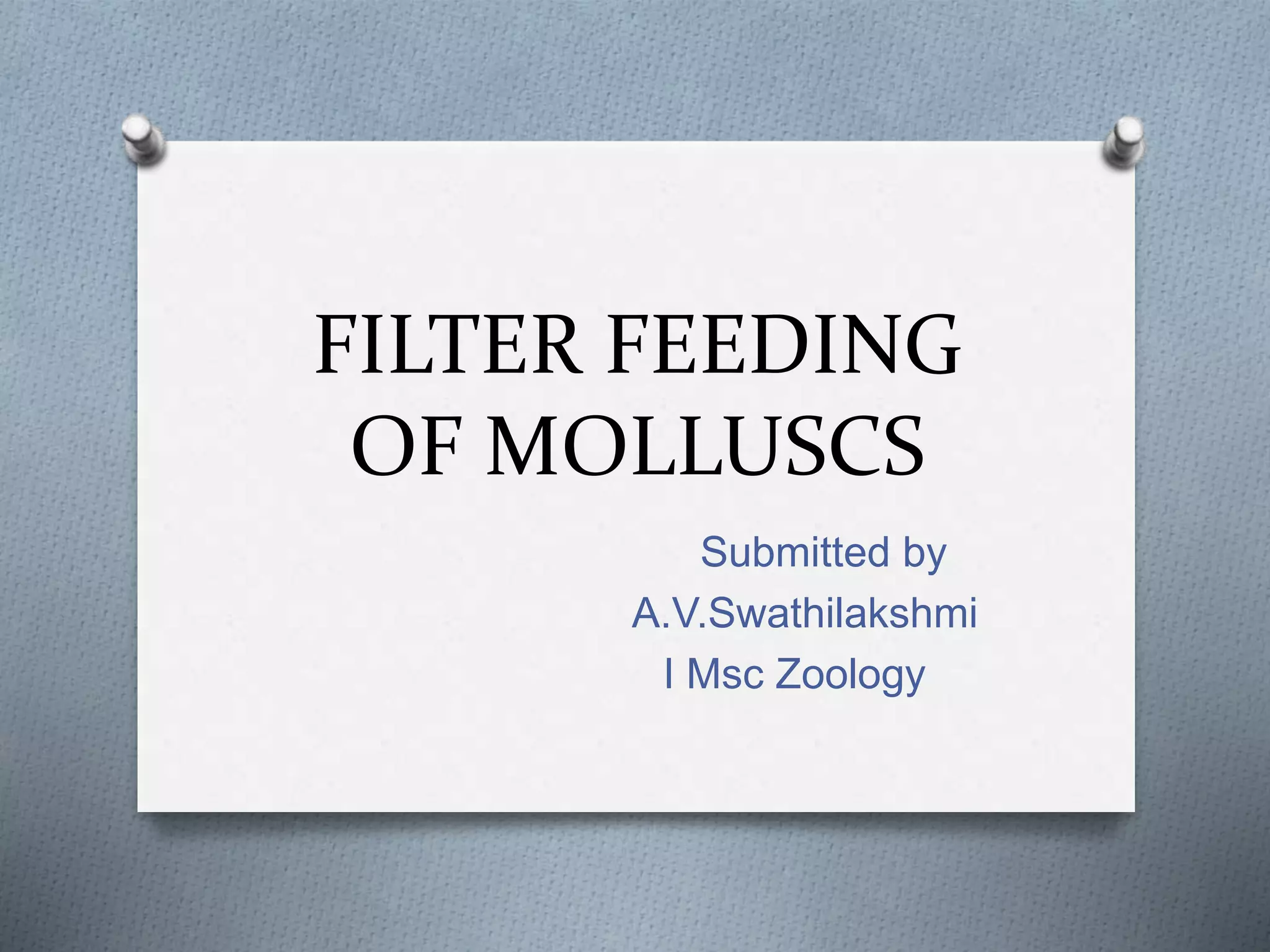 Filter feeding of molluscs PPT
