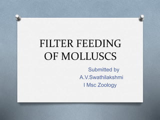 FILTER FEEDING
OF MOLLUSCS
Submitted by
A.V.Swathilakshmi
I Msc Zoology
 