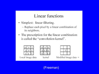 (Freeman)
 