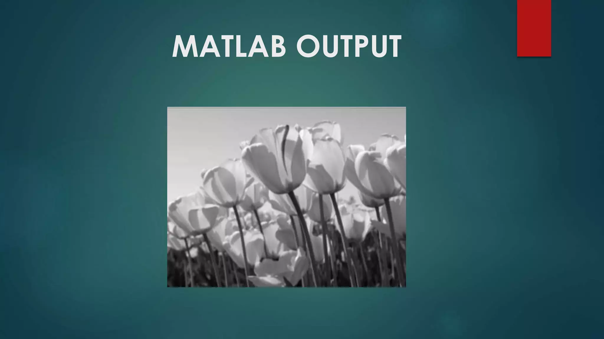 MATLAB OUTPUT
 