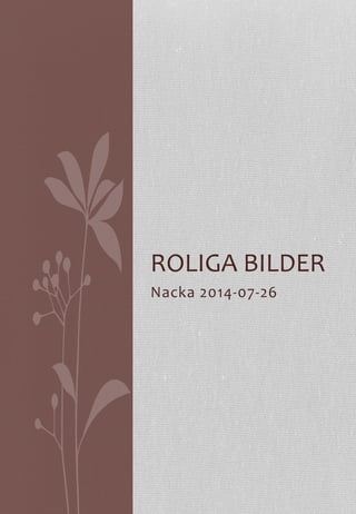 Nacka	
  2014-­‐07-­‐26	
  
	
  
ROLIGA	
  BILDER	
  
 