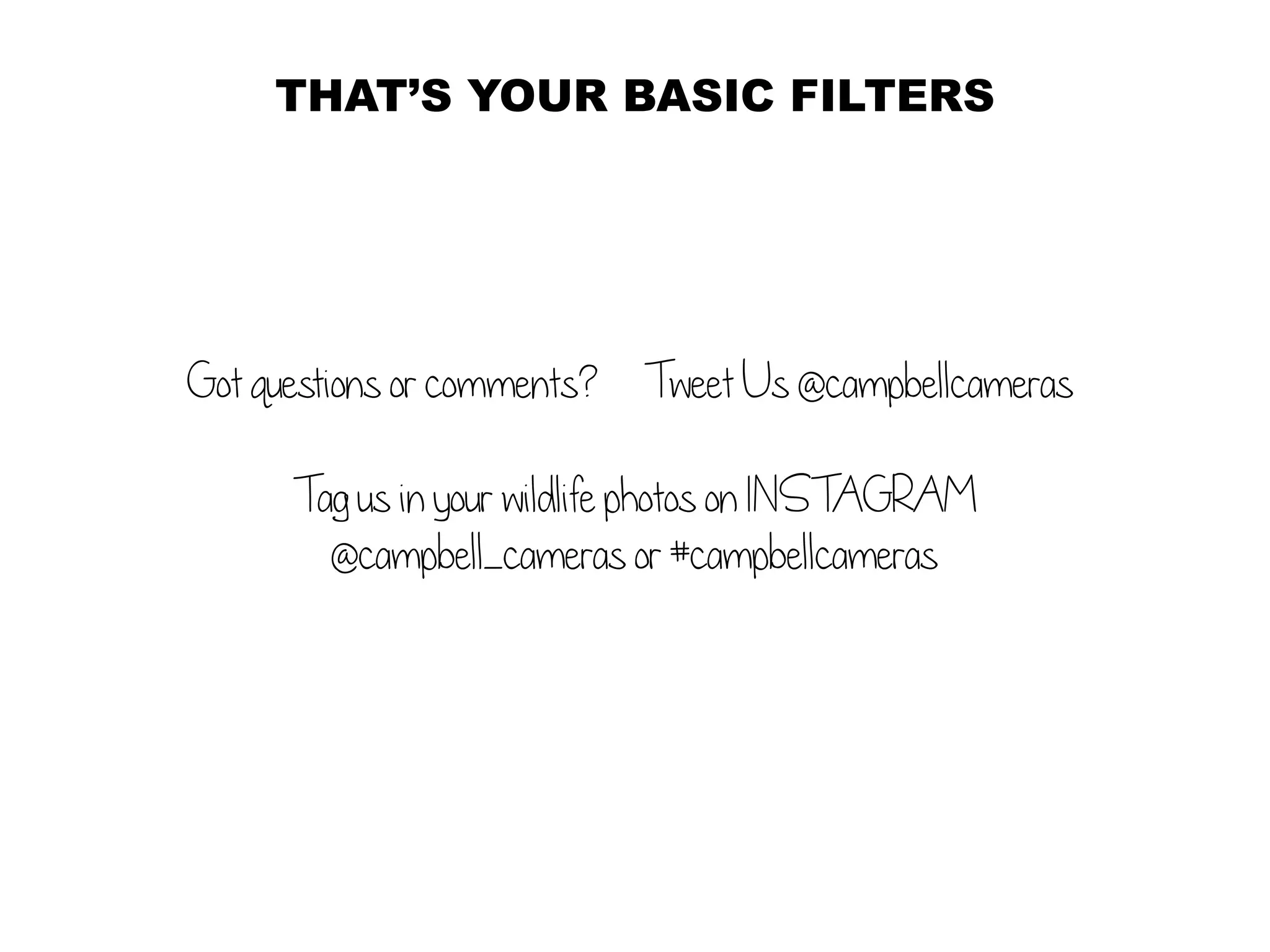 THAT’S YOUR BASIC FILTERS
Got questions or comments? 	 Tweet Us @campbellcameras
Tag us in your wildlife photos on INSTAGRAM
@campbell_cameras or #campbellcameras
 