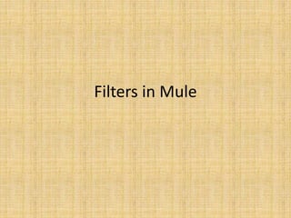Filters in Mule
 