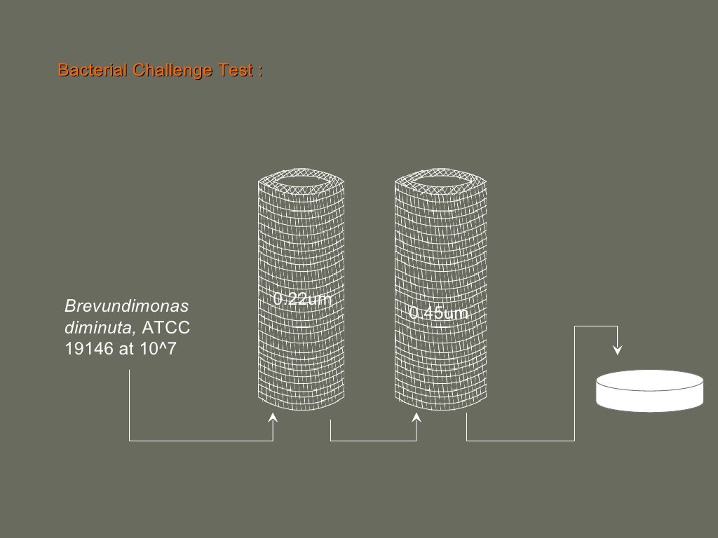 Filter Validation and Regulatory aspects