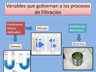 Variables que gobiernan a los procesos
de Filtración
Fenómenos
Físicos
Aplicados
Osmosis
Difusión
Fenómenos
Mecánicos
Efecto Tamiz
 