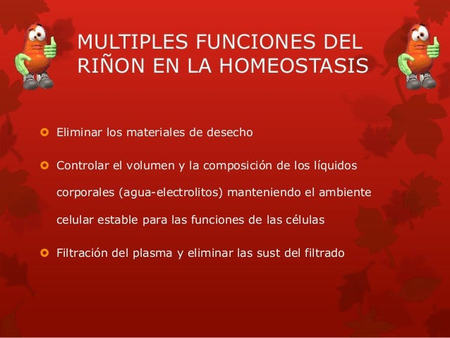 Filtración, reabsorción y secreción de diferentes sustancias Filtración, reabsorción y secreción de diferentes sustancias