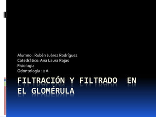 Alumno : Rubén Juárez Rodríguez 
Catedrático: Ana Laura Rojas 
Fisiología 
Odontología : 2 A 
FILTRACIÓN Y FILTRADO EN 
EL GLOMÉRULA 
 