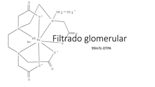 Filtrado glomerular
99mTc-DTPA
 