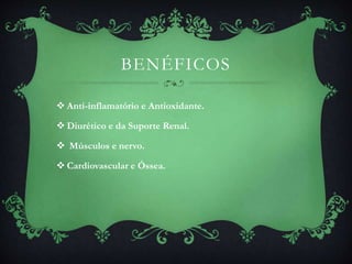 BENÉFICOS
 Anti-inflamatório e Antioxidante.
 Diurético e da Suporte Renal.
 Músculos e nervo.
 Cardiovascular e Óssea.
 