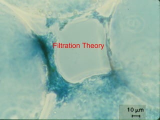 Filtration Theory
 