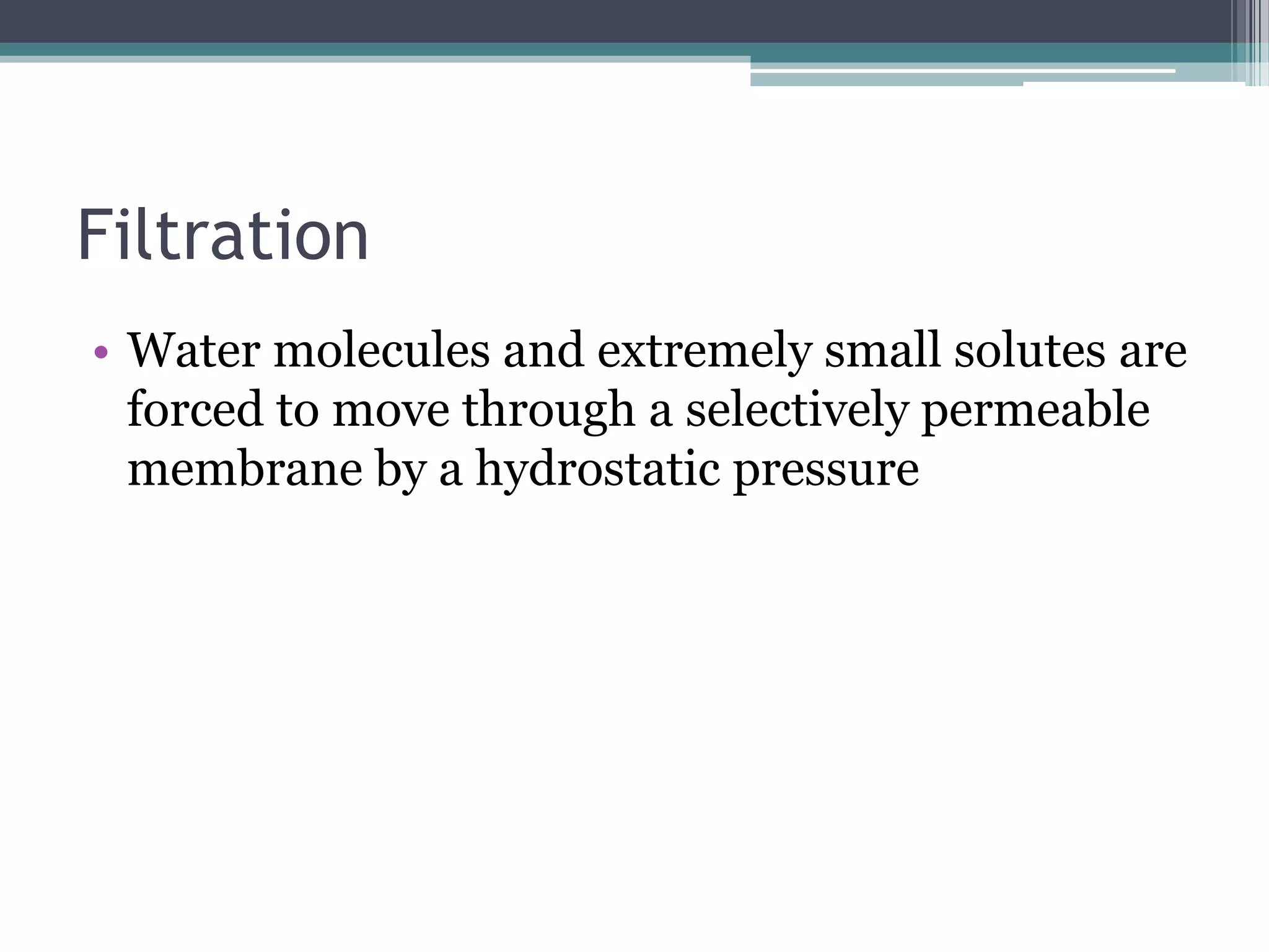 Filtration, diffusion, and osmosis PPT