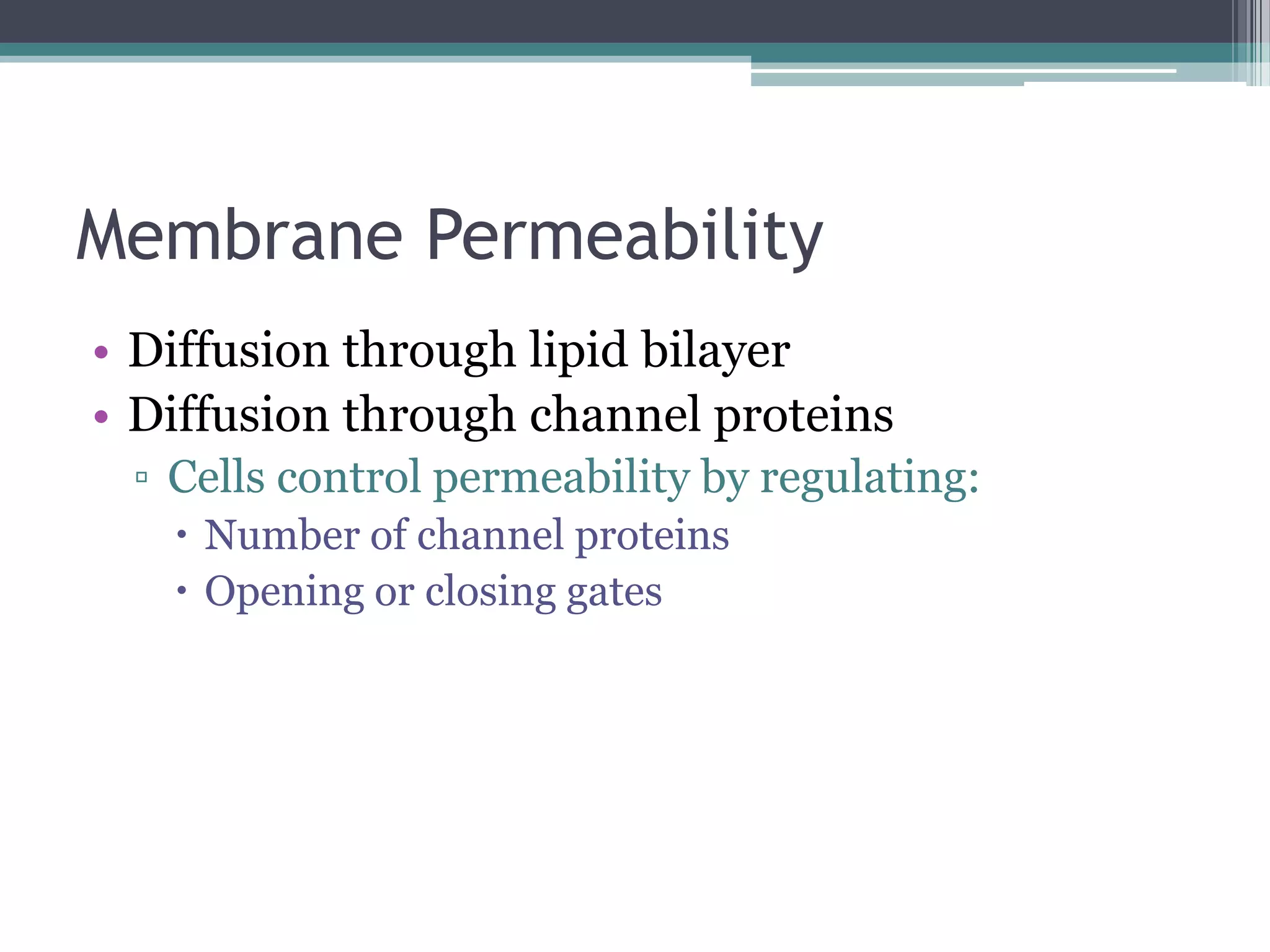 Membrane Permeability
• Diffusion through lipid bilayer
• Diffusion through channel proteins
▫ Cells control permeability by regulating:
 Number of channel proteins
 Opening or closing gates

 