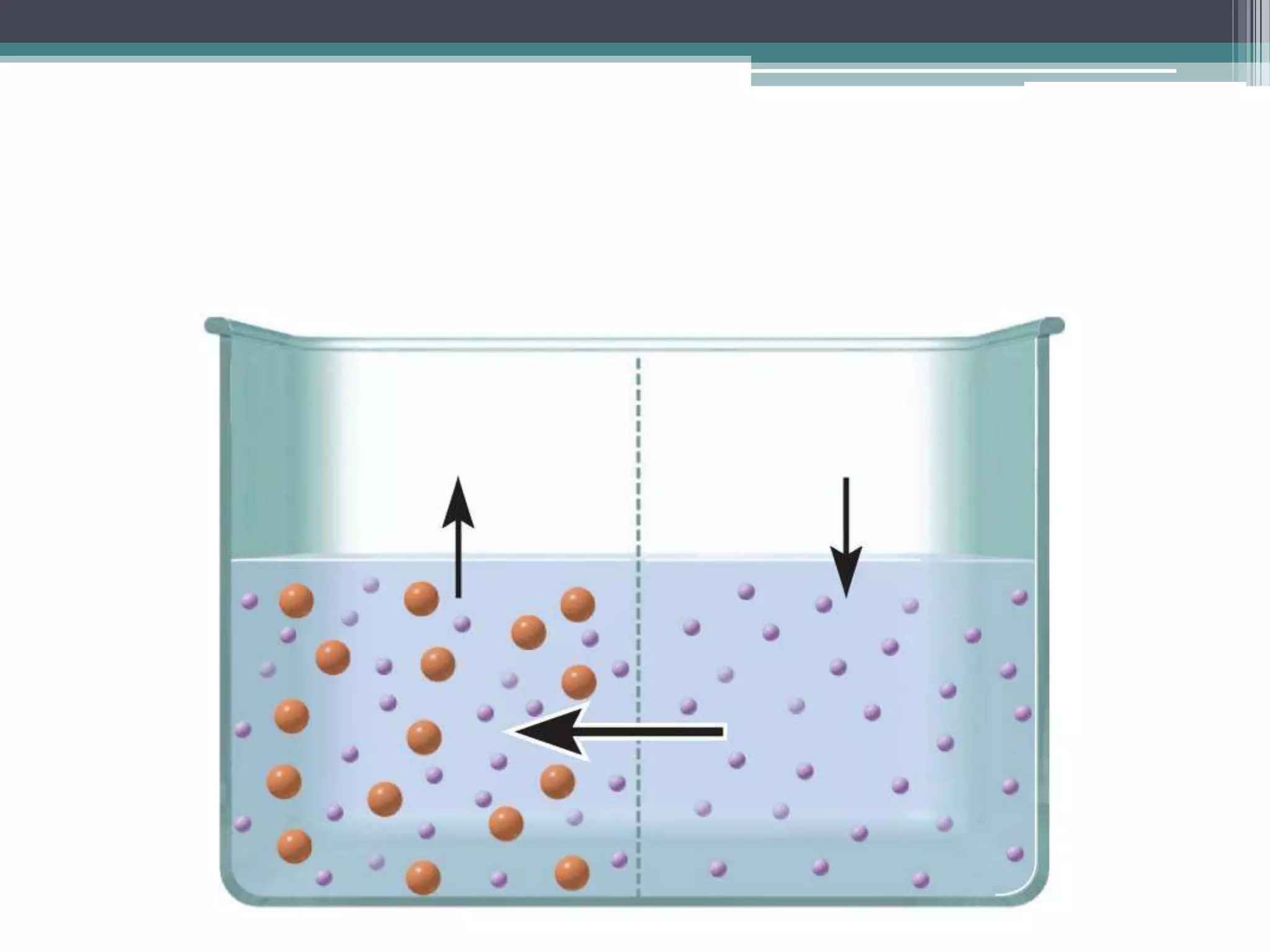 Filtration, diffusion, and osmosis PPT