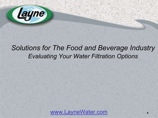 Solutions for The Food and Beverage Industry
     Evaluating Your Water Filtration Options




             www.LayneWater.com                 1
 